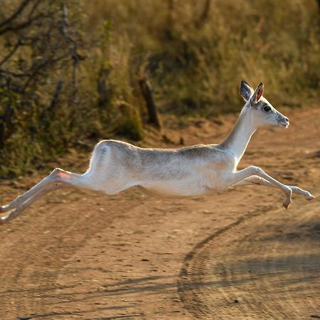 Waterberg Game Park Villa Mokopane Exterior foto